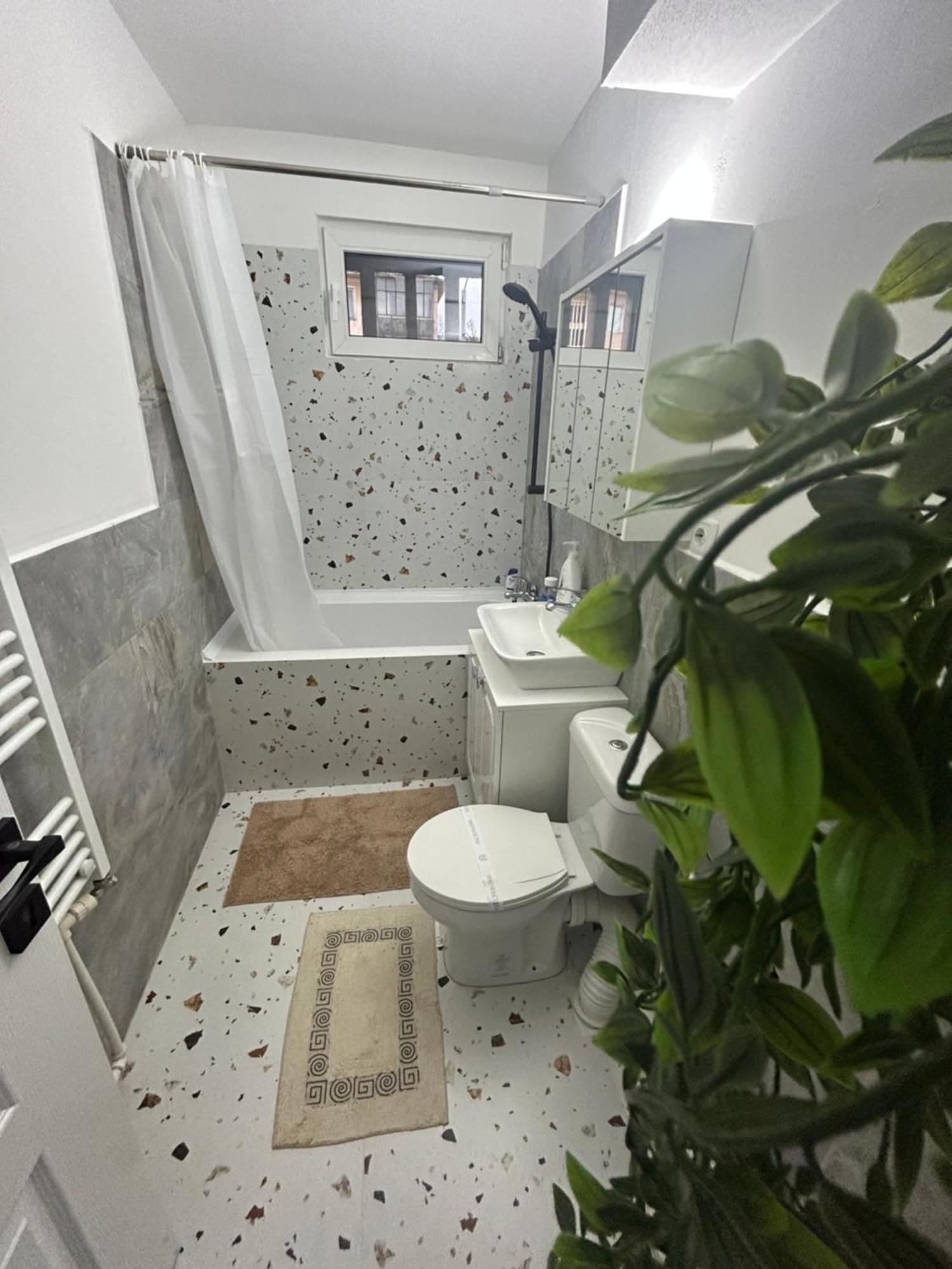Mag Apartament Ps ياش المظهر الخارجي الصورة